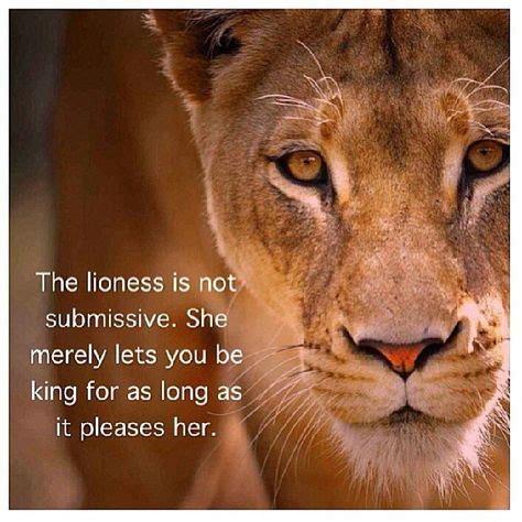 lioness quotes|Fierce Lioness Quotes: Inspiring Female Empowerment